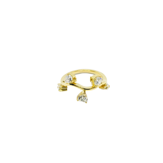 Aria Ring